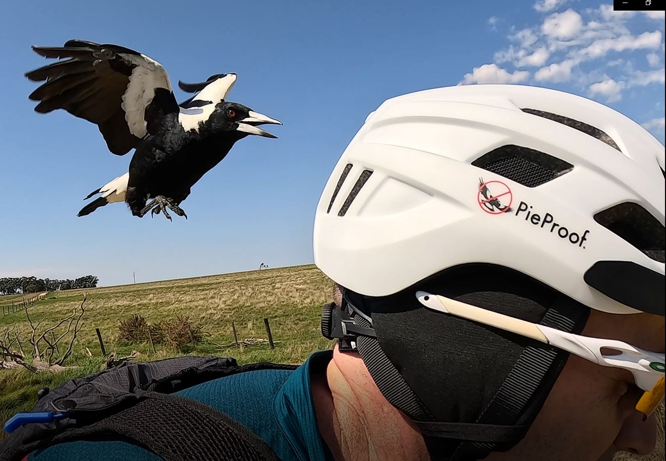 PieProof Cycle Helmets